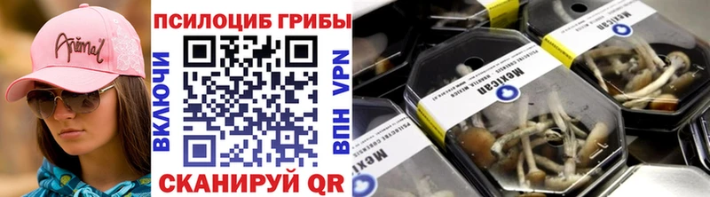 Галлюциногенные грибы Cubensis  Каневская 